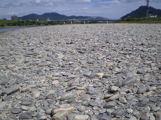 川原から産まれた魚 石魚 いお 自然風の自然風だより 川原から産まれた魚 石魚 いお 自然風の自然風だより