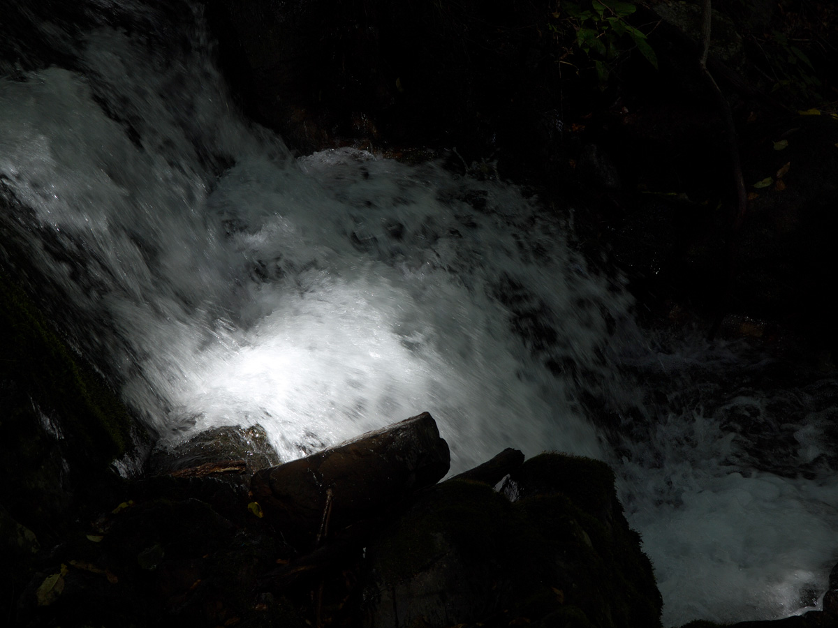 f0121181_21511031.jpg
