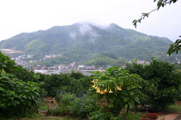 雨の九州～しまなみ海道_a0087284_1230032.jpg