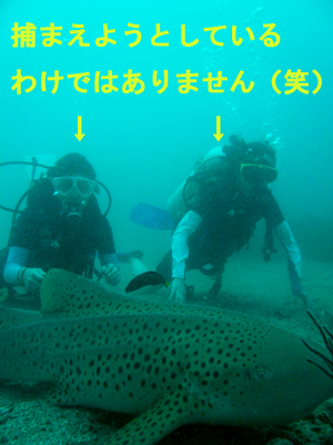 ピピ島2ダイブ!よしっ!_f0144385_23544744.jpg