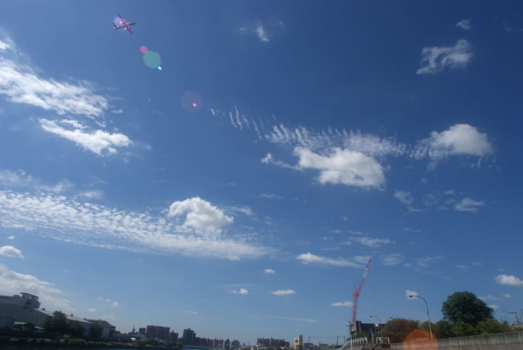 e0169286_821328.jpg