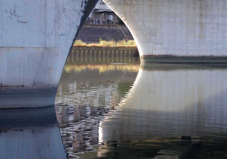 e0169286_862160.jpg