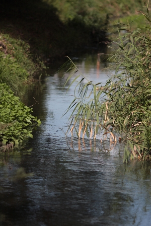 d0133693_3153099.jpg