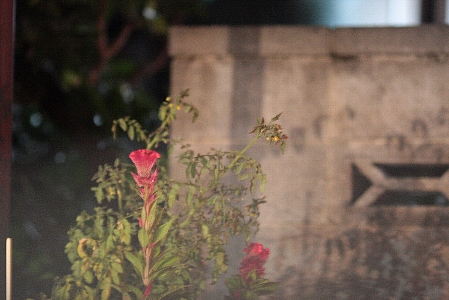 d0133693_3162359.jpg
