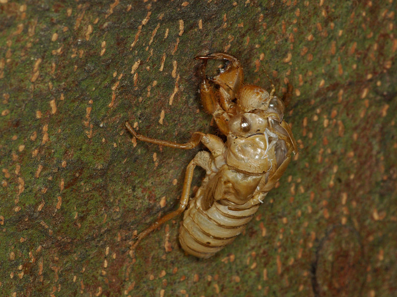 f0204094_8563074.jpg