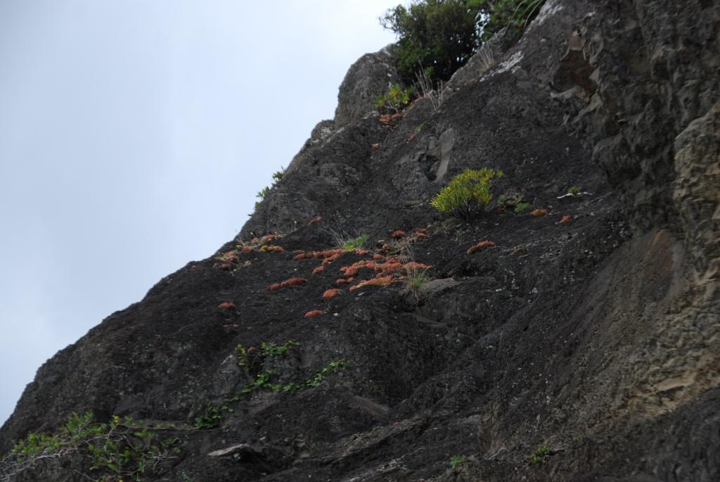 9月12日　鹿児島県大隅半島に行って来ました_b0093800_2202130.jpg