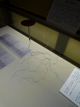 f0191500_7105394.jpg