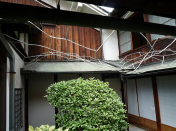 f0191500_713857.jpg