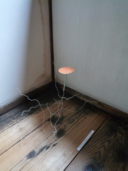 f0191500_77866.jpg