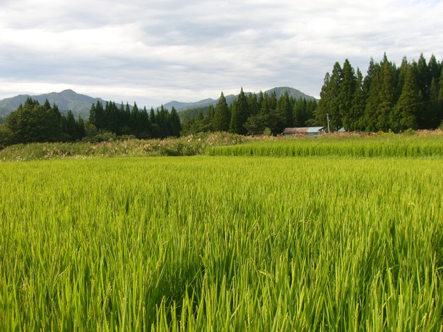 秋の窓山まつり_f0090602_0271157.jpg