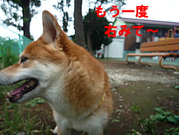 e0131506_2228431.jpg