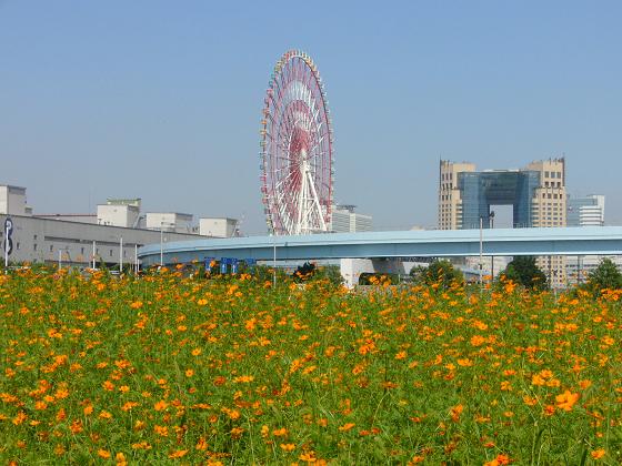 b0112909_1727425.jpg