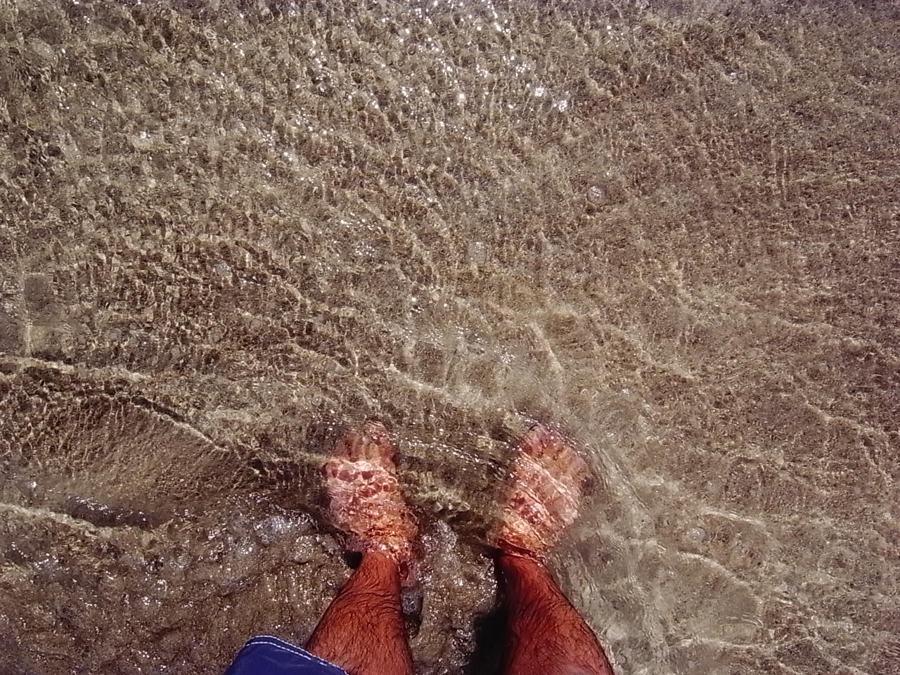 b0166909_8142723.jpg
