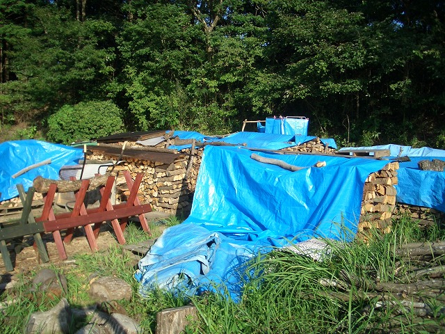 ふじ山森の会「みんなの広場」!_f0141310_23233928.jpg