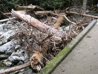 8月最後の土日に　デンサクにかかった～_e0136815_1214359.jpg