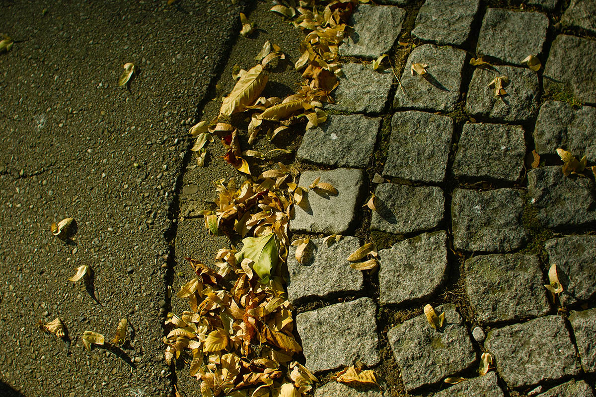 b0148617_18131345.jpg