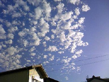b0101719_1621141.jpg