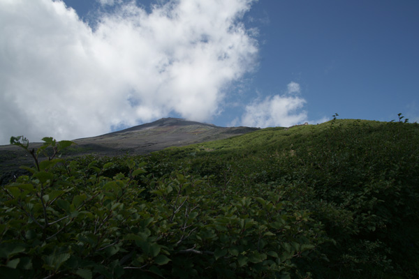 a0068424_2321722.jpg