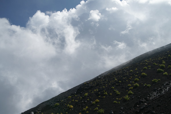 a0068424_233664.jpg