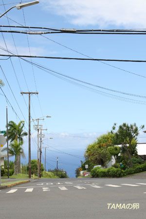 c0024729_1911569.jpg