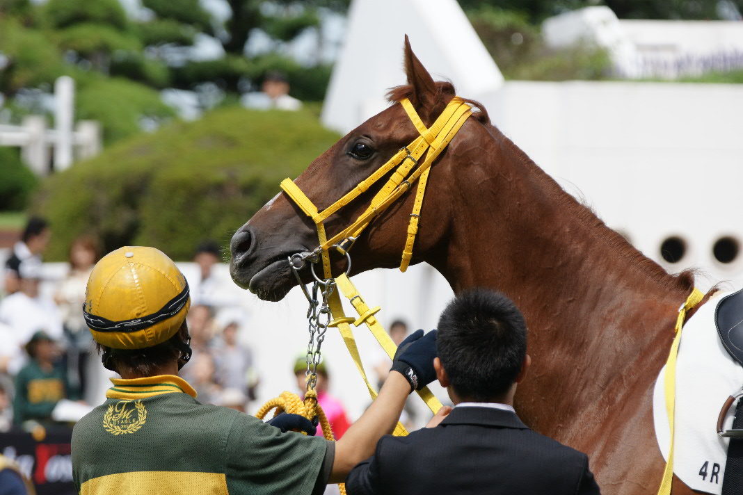 京成線に乗って中山競馬場へ_a0035333_19392324.jpg