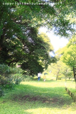 c0165833_20563998.jpg