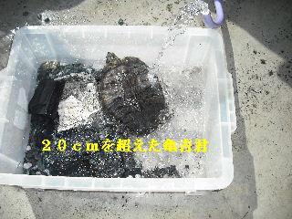 休日は午前が勝負_f0031037_12222572.jpg