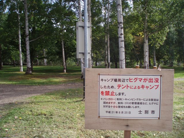 c0105338_17411549.jpg