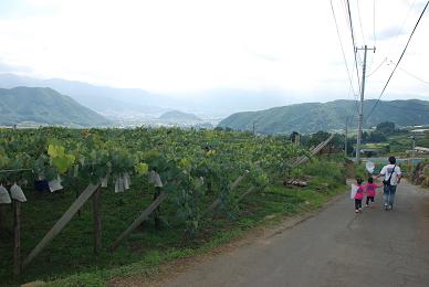 c0189444_14371349.jpg