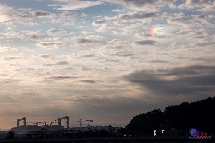 b0156446_220461.jpg
