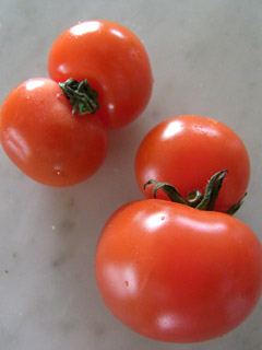 f0078756_178491.jpg