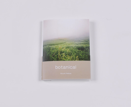 ｢botanical｣ 中江 美有紀_c0098759_19333191.jpg