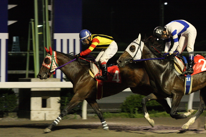 2009年9月13日（日） 高知競馬 9R ホウセンカ特別 D1 選抜馬_a0077663_2263739.jpg