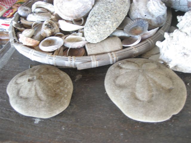a0123465_23204085.jpg