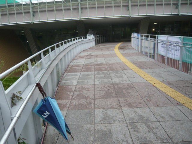 c0100865_6492765.jpg