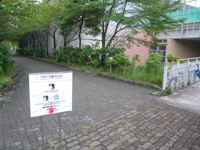c0100865_6495928.jpg