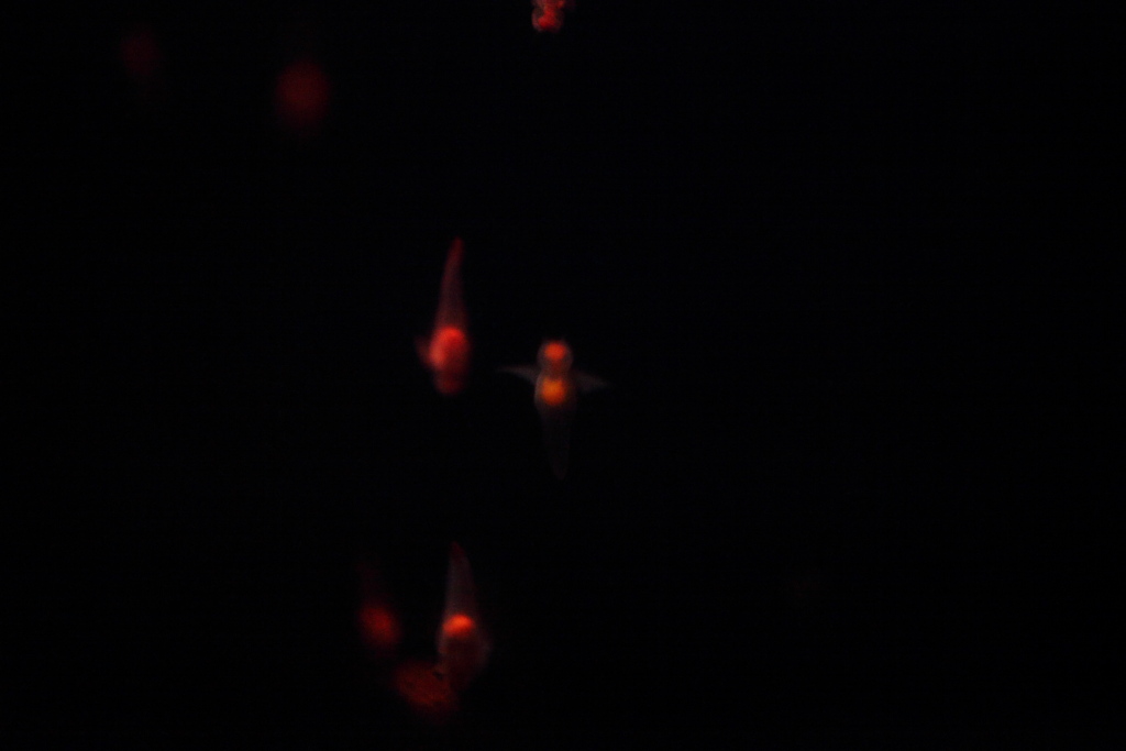 f0171065_23175467.jpg