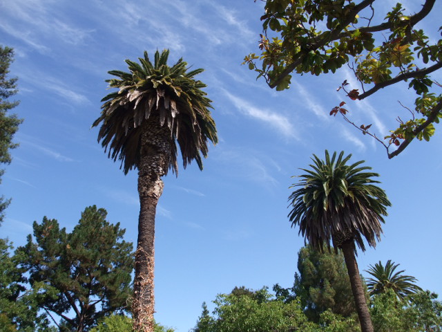 c0115366_22574044.jpg