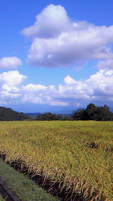 a0097967_22141230.jpg