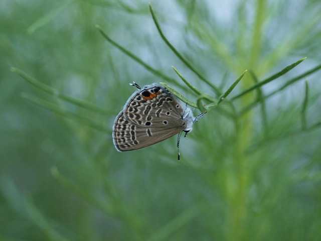 b0135573_18314386.jpg