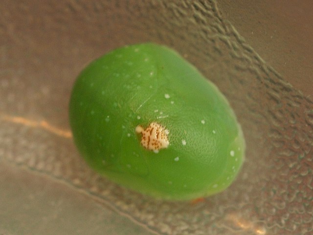 b0135573_18333853.jpg