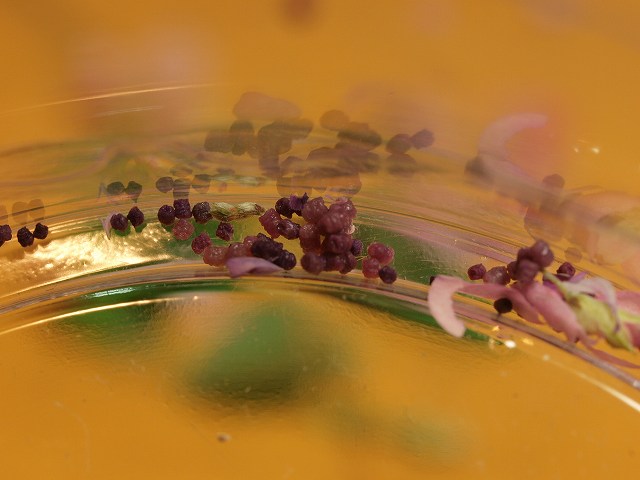 b0135573_18343942.jpg
