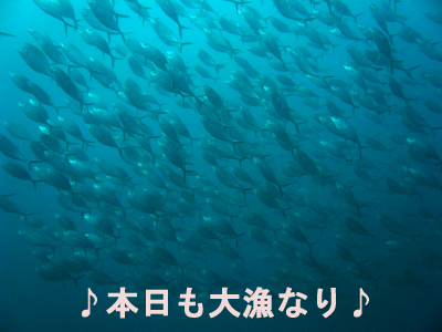 ピピ島2ダイブ!よしっ!_f0144385_003095.jpg