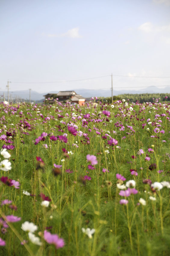 三重県鉄道の旅_f0180085_20545264.jpg