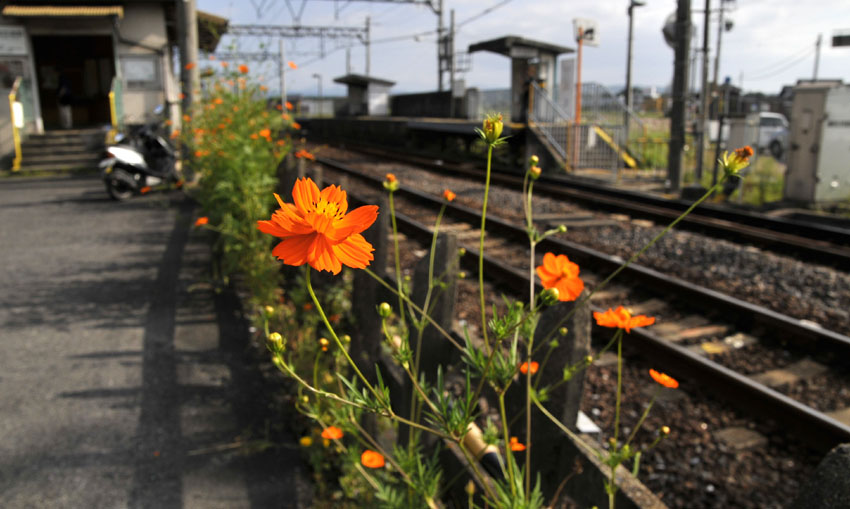 三重県鉄道の旅_f0180085_20562242.jpg