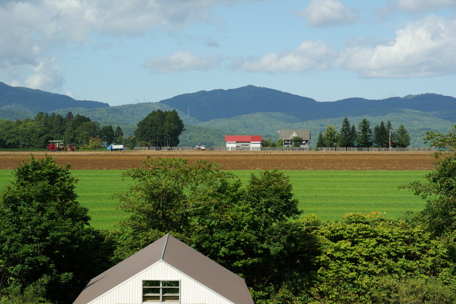 長閑な光景_e0051186_14511224.jpg