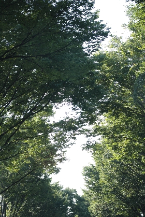d0133693_21282030.jpg