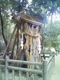 f0082794_22225542.jpg