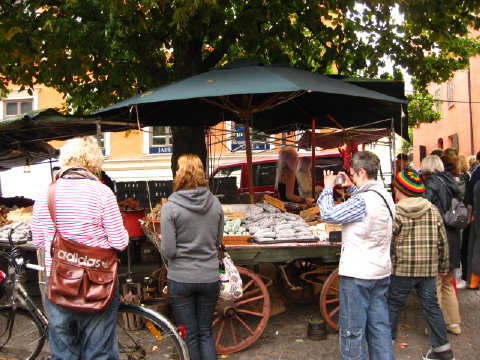 c0180096_6101197.jpg