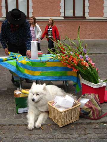 c0180096_6114880.jpg